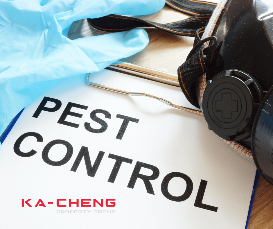 Who’s Responsible for Pest Control in Your Rental Property, Landlords or Tenants?