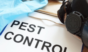 pest-control-landlords-tenants
