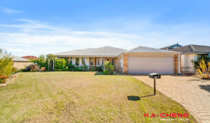 NAA06459_1_ef17-d694-14fb-da20-1b41-52b2-6c91-9891_20260303021748